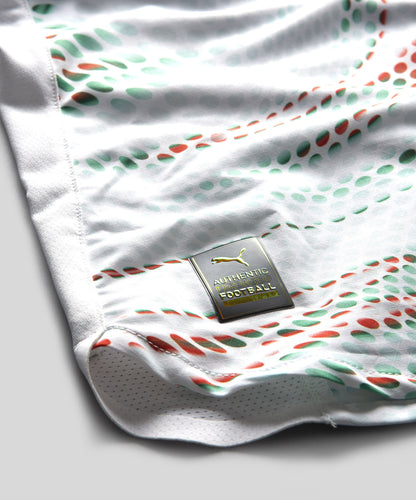 Camisola Alternativa Authentic 2025